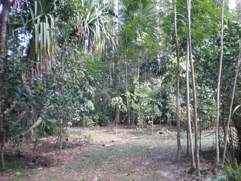 Kuranda QLD 4881