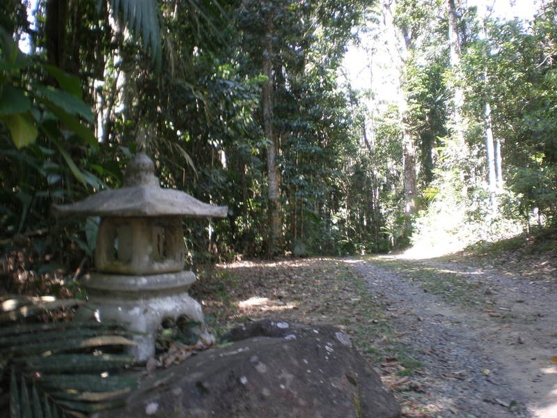 Kuranda QLD 4881