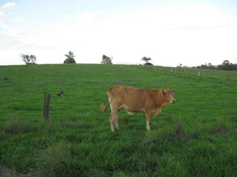 Gin Gin QLD 4671