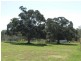 Gin Gin QLD 4671