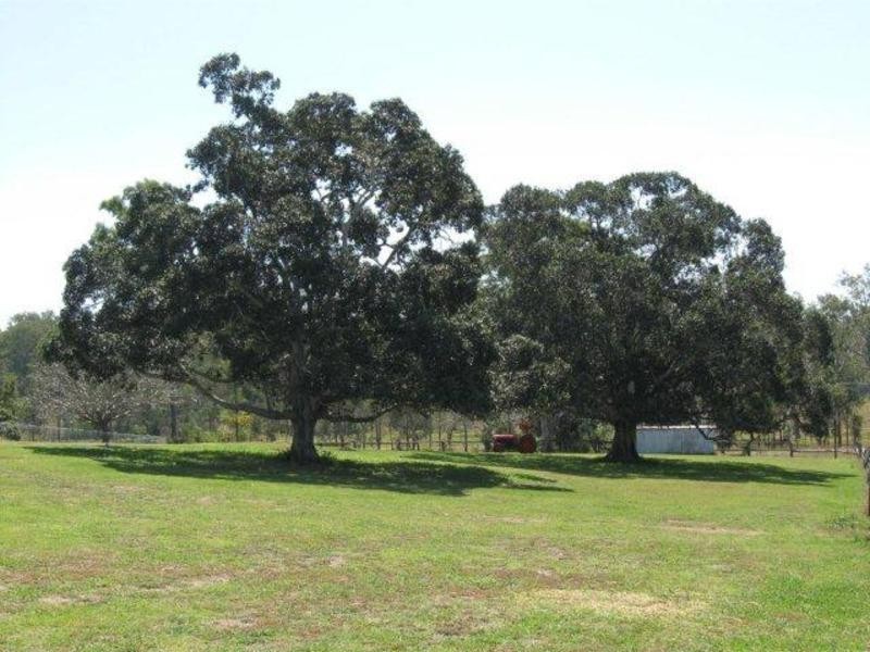 Gin Gin QLD 4671