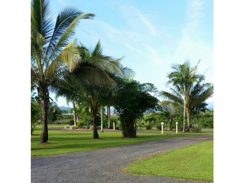 452/No. 6 Branch Road, South Johnstone QLD 4859