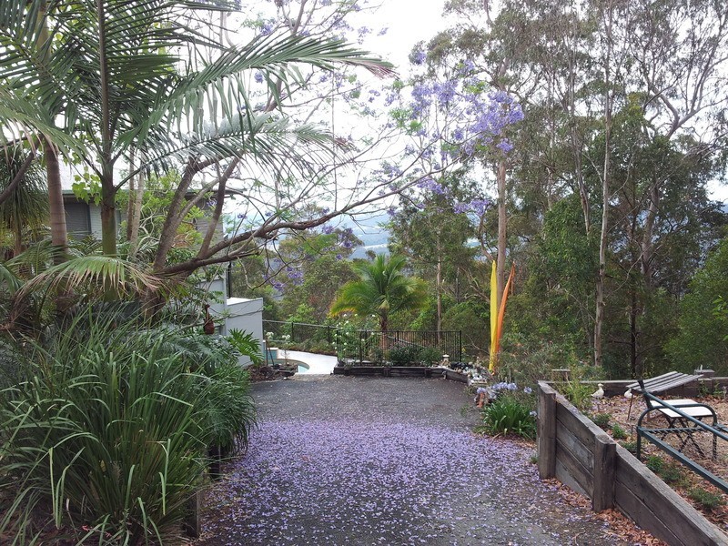 Lower Beechmont QLD 4211