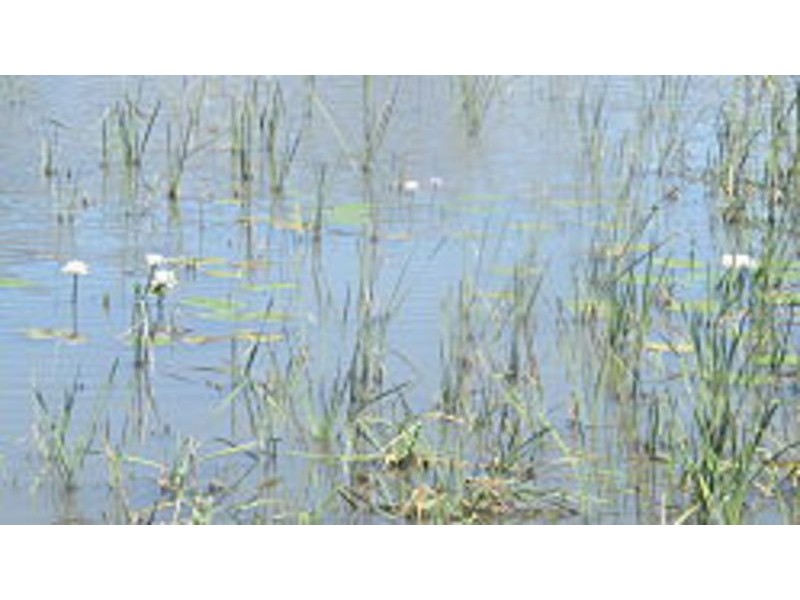 15 Torrens Way, Coffs Harbour NSW 2450