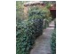 Stonyfell SA 5066