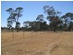 2 Spring Street, Ganmain NSW 2702