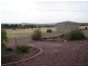 Lot 5, 304 Tabain Rd Corbie Hill, Leeton NSW 2705