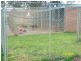 970 Springvale Road, Tatura VIC 3616