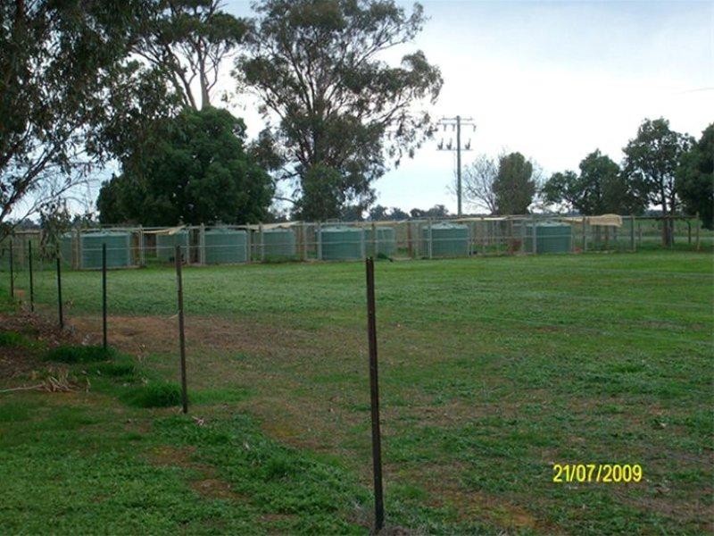 970 Springvale Road, Tatura VIC 3616