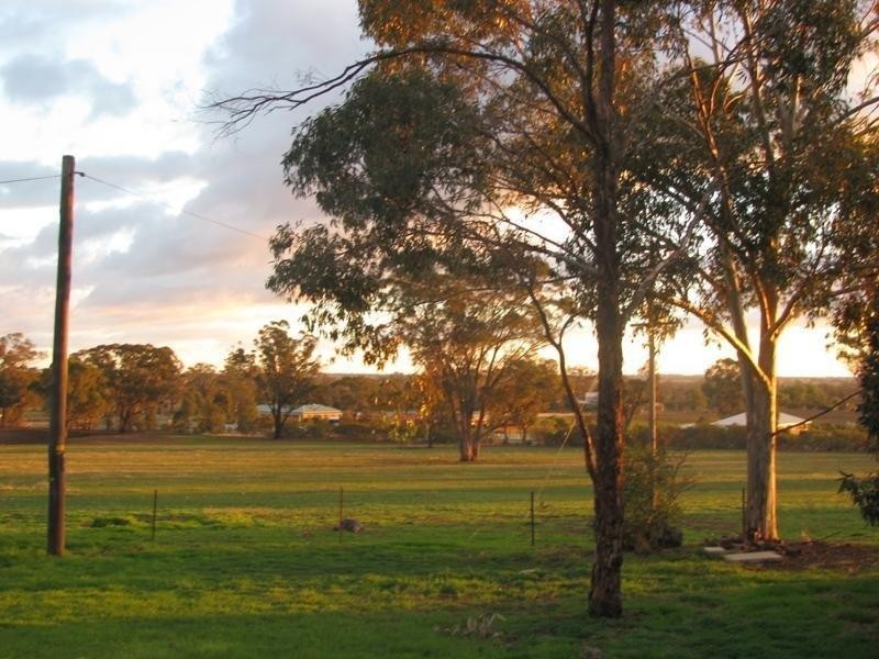 201 Millwood Road, Coolamon NSW 2701