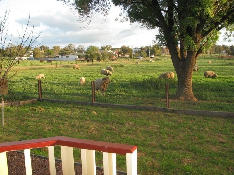 55 Cunningdrew, Ladysmith NSW 2652