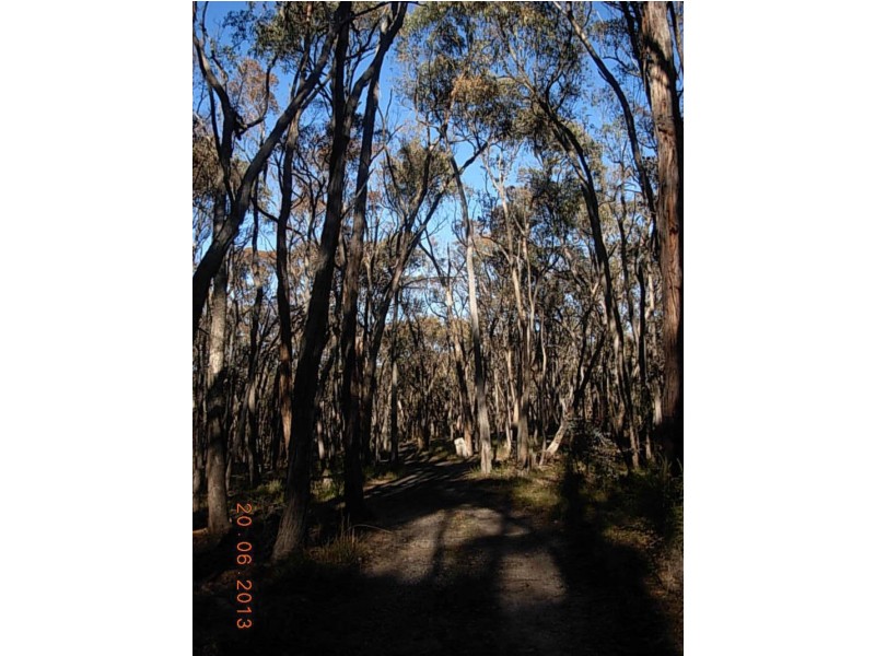 Taradale VIC 3447