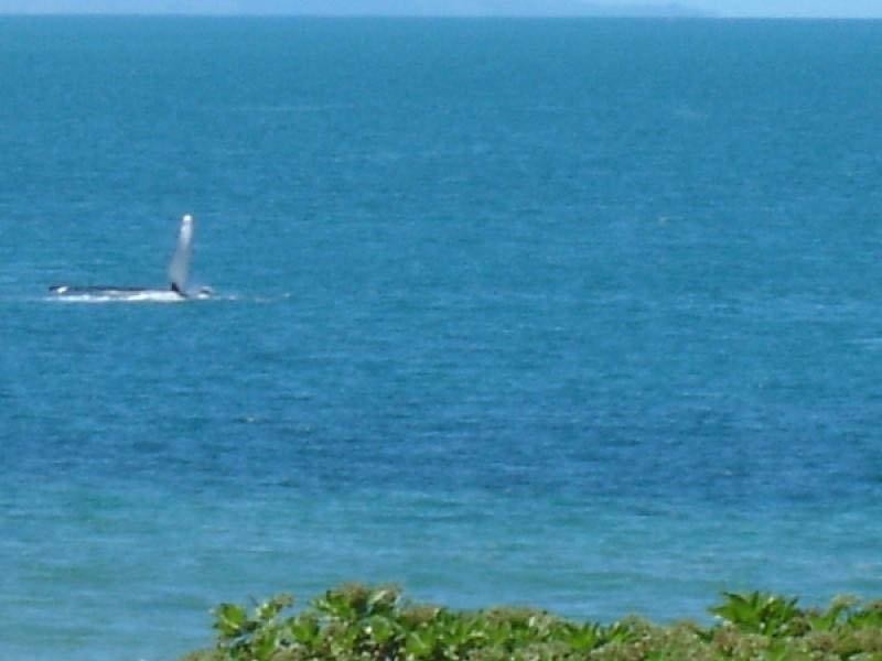 55 Rasmussen Avenue, Salonika Beach QLD 4740