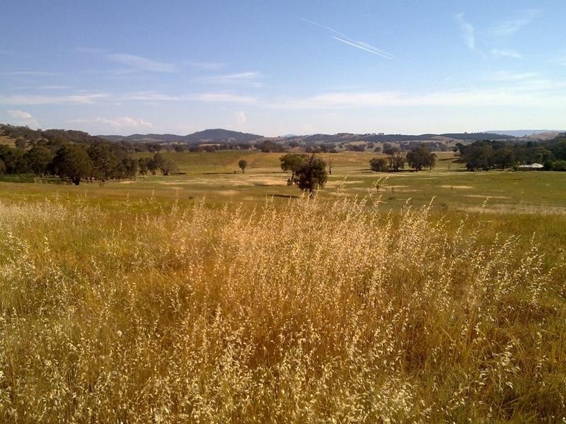 ‘Eskett’ Little Billabong Rd via Holbrook, Holbrook NSW 2644