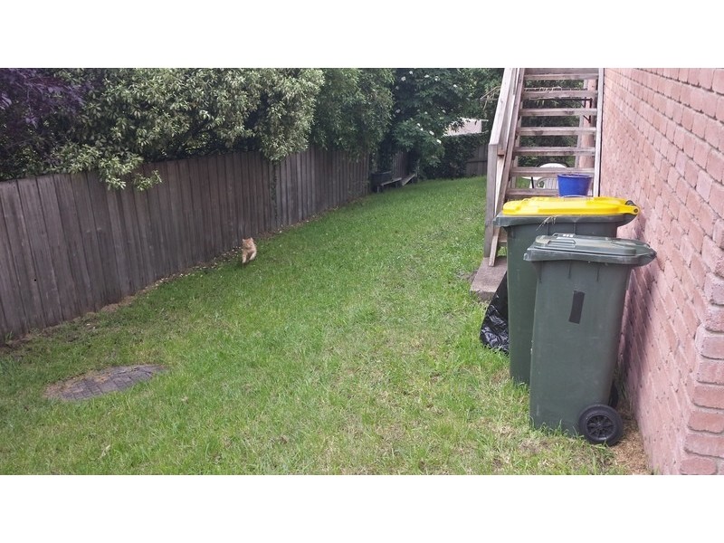 1/1 Allport Place, Lenah Valley TAS 7008