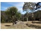 Putty NSW 2330