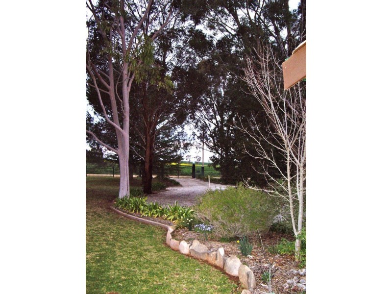 409 Porters Mount Road, Cowra NSW 2794