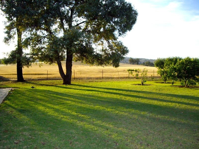 409 Porters Mount Road, Cowra NSW 2794