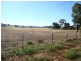 409 Porters Mount Road, Cowra NSW 2794