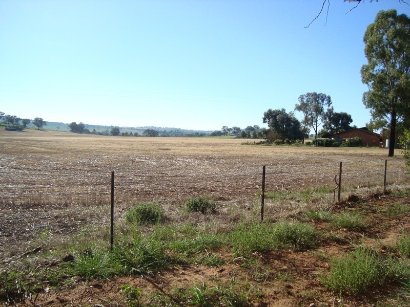 409 Porters Mount Road, Cowra NSW 2794