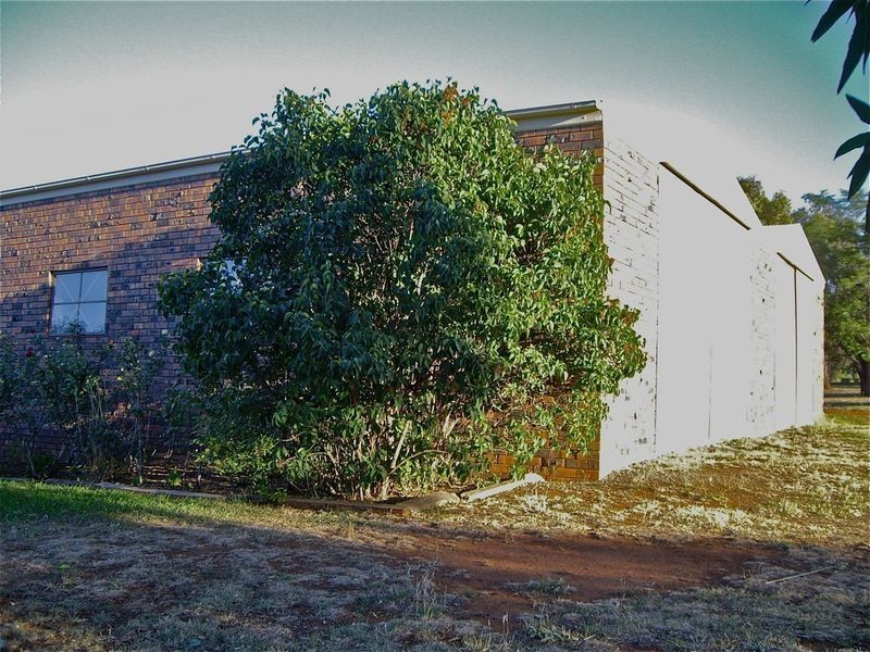 421 Porters Mount Road, Cowra NSW 2794