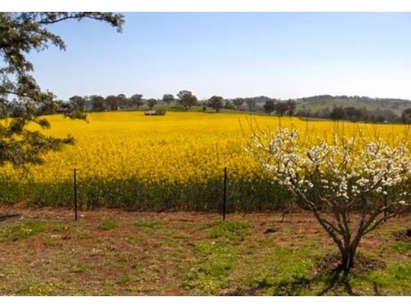 421 Porters Mount Road, Cowra NSW 2794
