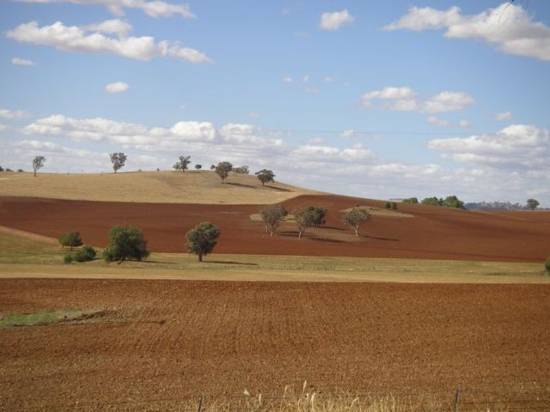 421 Porters Mount Road, Cowra NSW 2794