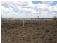 2440 Leichhardt Highway, Dululu QLD 4702