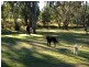 Lot 10/40  Koala Place, Coonabarabran NSW 2357