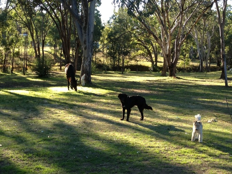 Lot 10/40  Koala Place, Coonabarabran NSW 2357