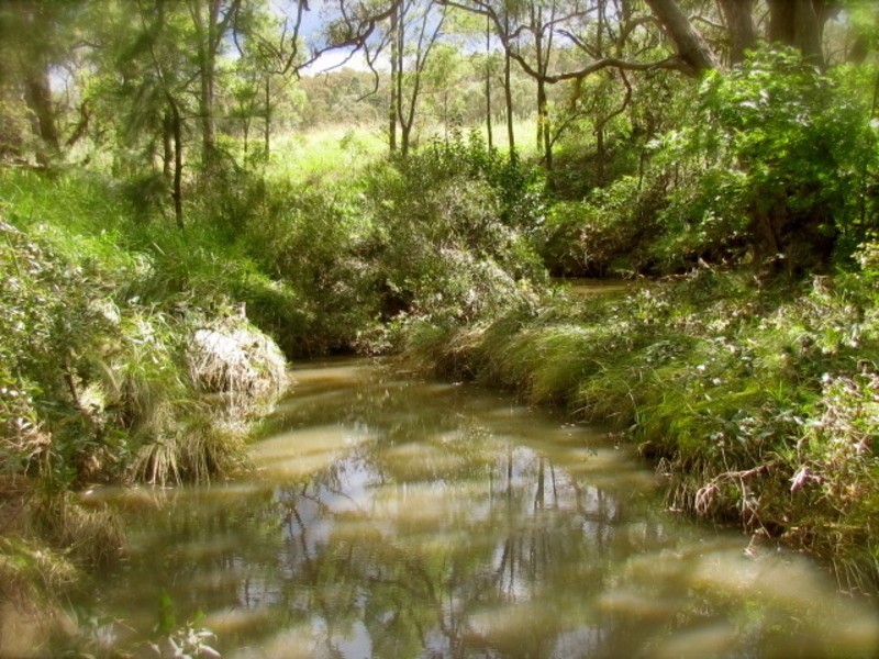 Lot 10/40  Koala Place, Coonabarabran NSW 2357