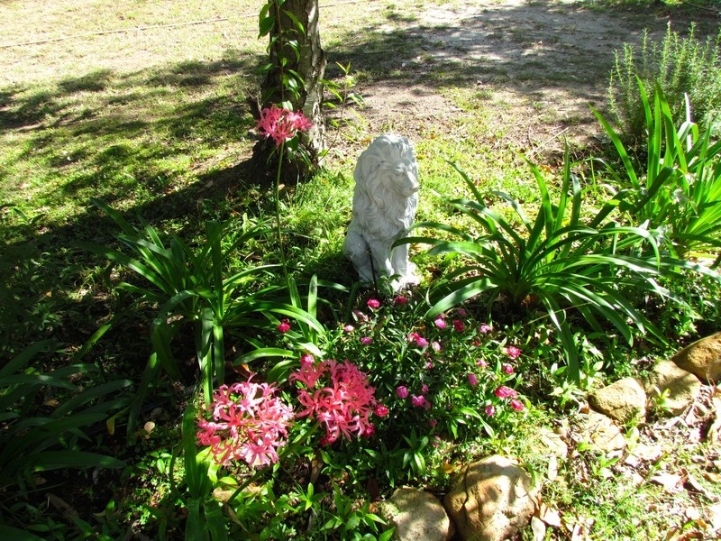 Lot 10/40  Koala Place, Coonabarabran NSW 2357