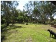 Lot 10/40  Koala Place, Coonabarabran NSW 2357