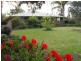 414  Daalbata rd, Leeton NSW 2705