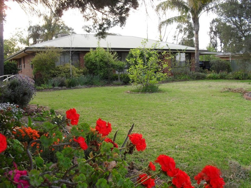 414  Daalbata rd, Leeton NSW 2705