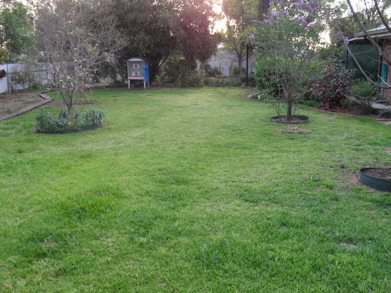 414  Daalbata rd, Leeton NSW 2705