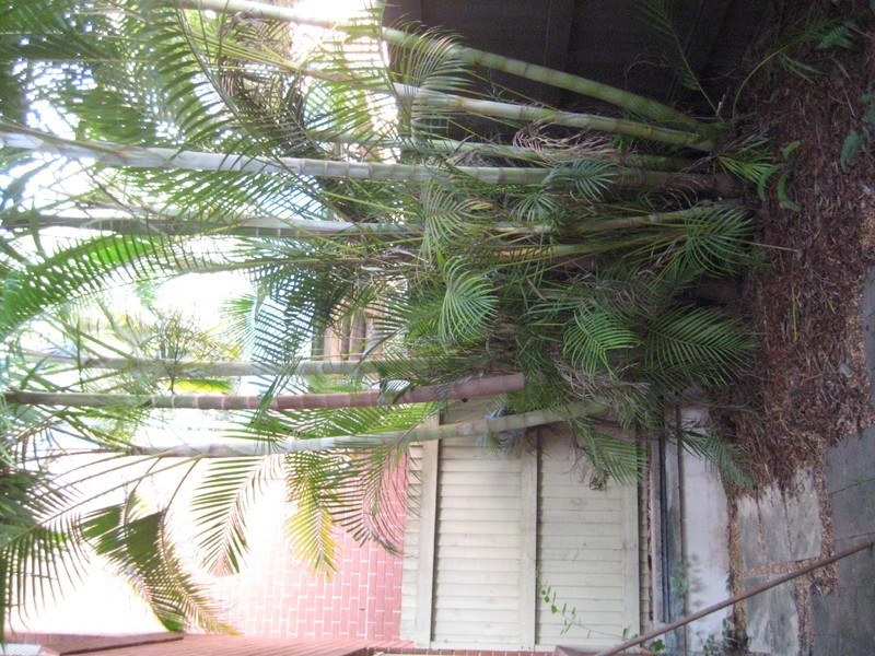 Kelvin Grove QLD 4059