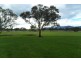 213 Atterbys Road, Mooralla VIC 3314