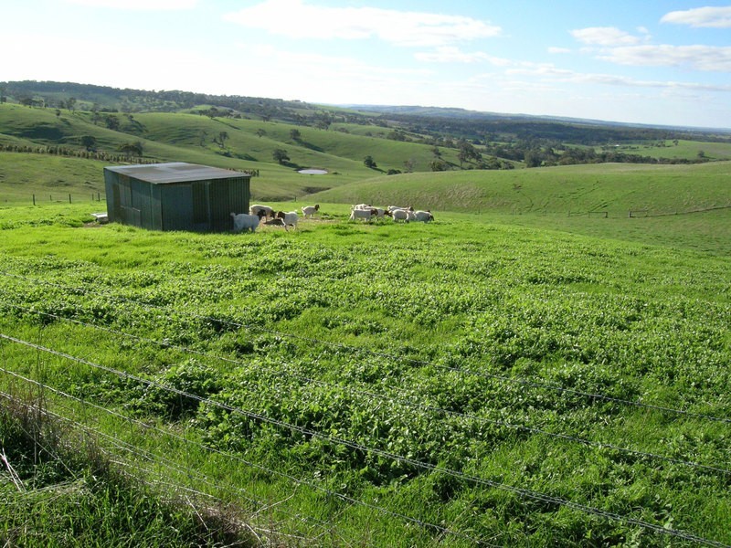 13 The Brook Drive, Currency Creek SA 5214