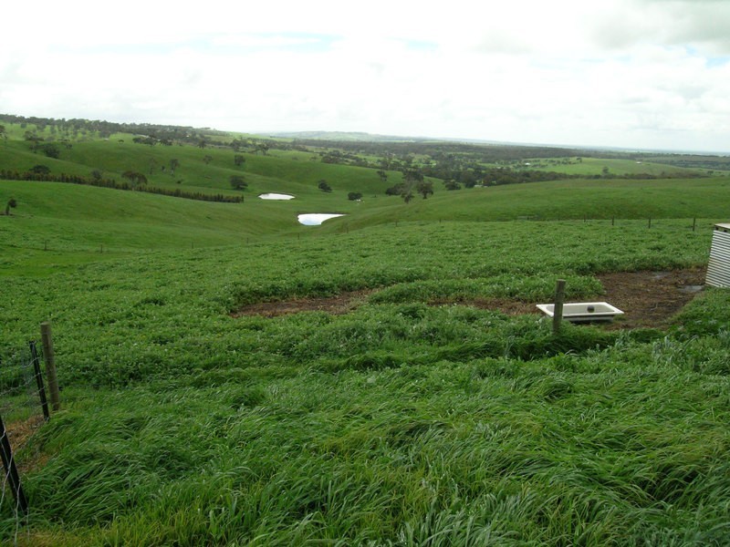 13 The Brook Drive, Currency Creek SA 5214