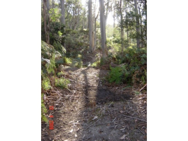 327 Rowleys Hill Road, Karoola TAS 7267