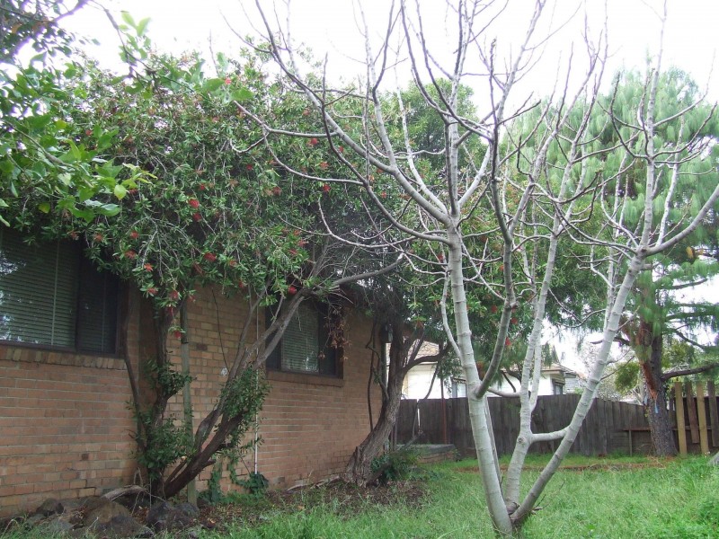 Lalor VIC 3075