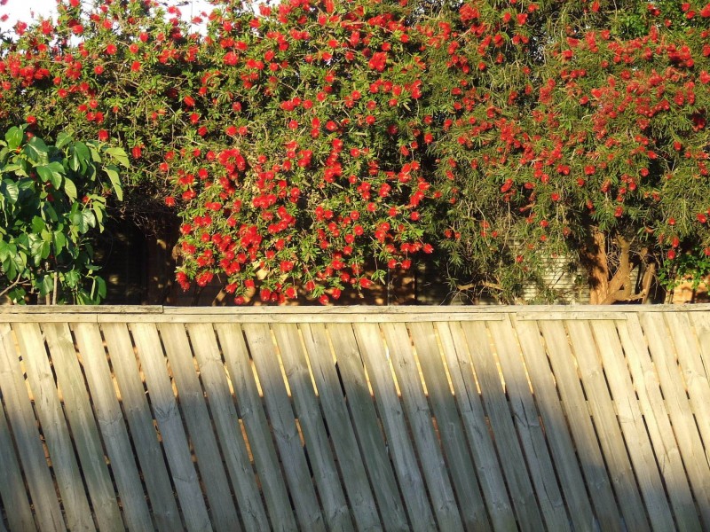 Lalor VIC 3075