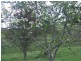 Whittlesea VIC 3757