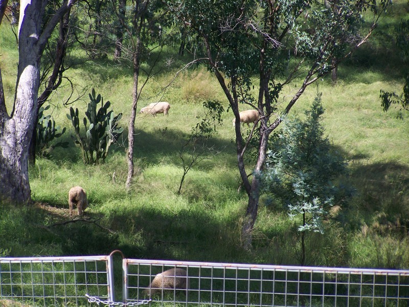 21459 New England Hwy, Warwick QLD 4370