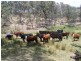 21459 New England Hwy, Warwick QLD 4370