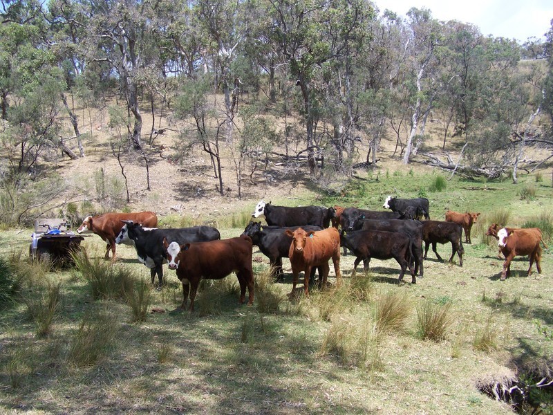 21459 New England Hwy, Warwick QLD 4370