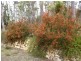 481 Esperance Coast Road, Hobart TAS 7000