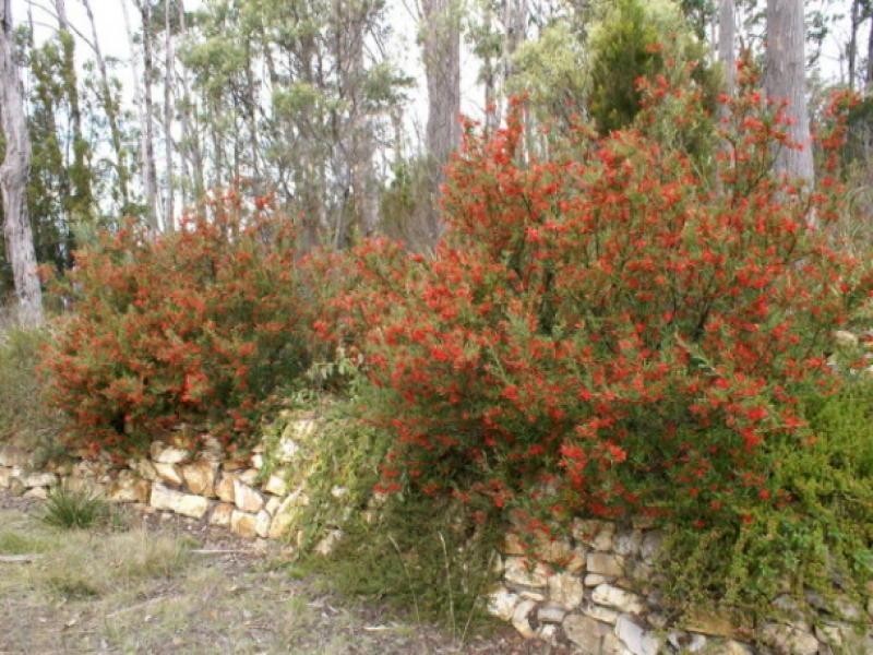 481 Esperance Coast Road, Hobart TAS 7000