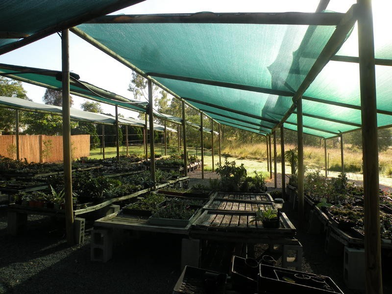 95 Ironmonger St, Calliope QLD 4680